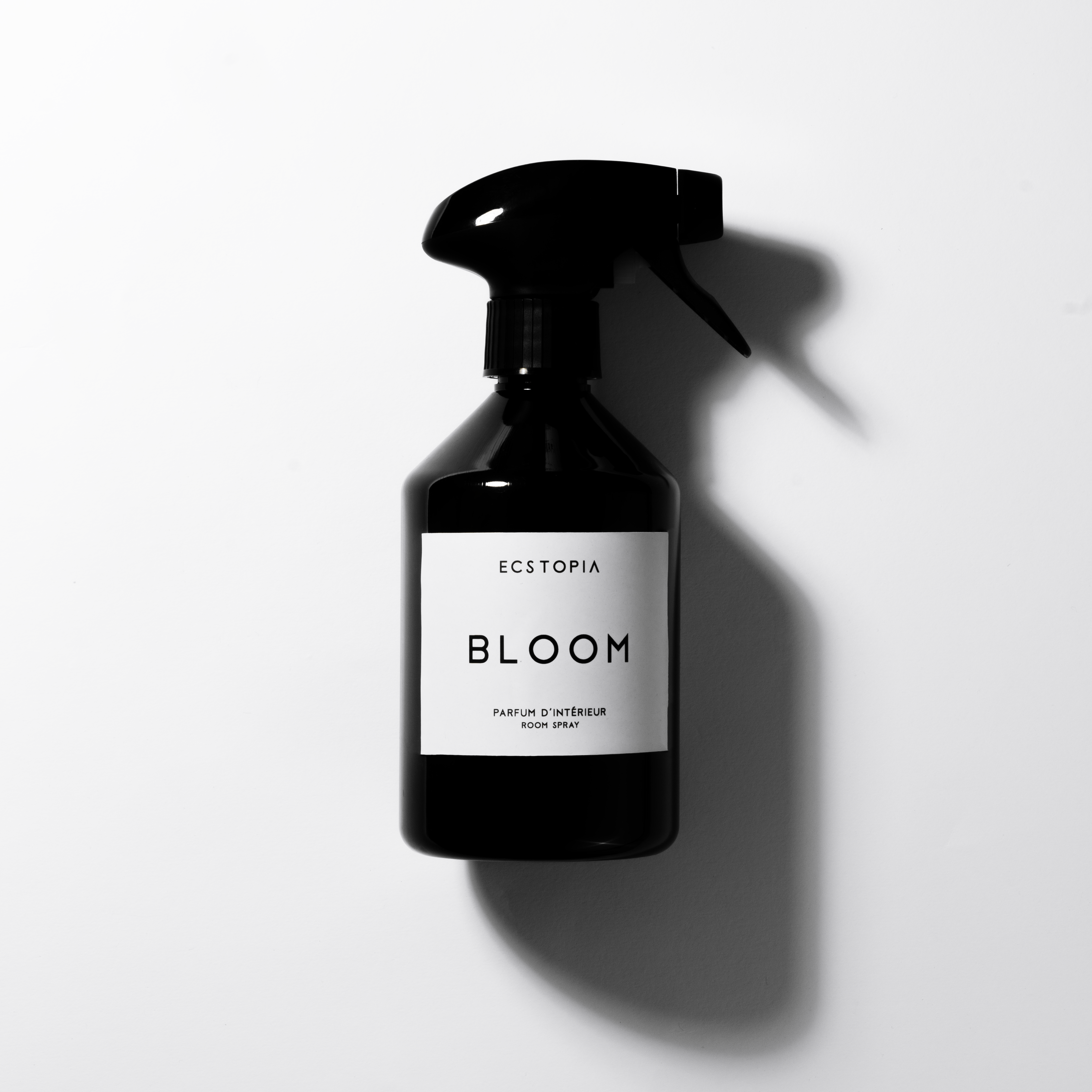 Bloom